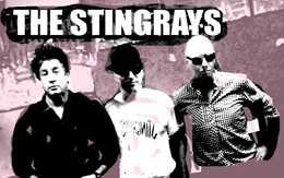 THE STINGRAYS 40th anniversary show 1977-2017